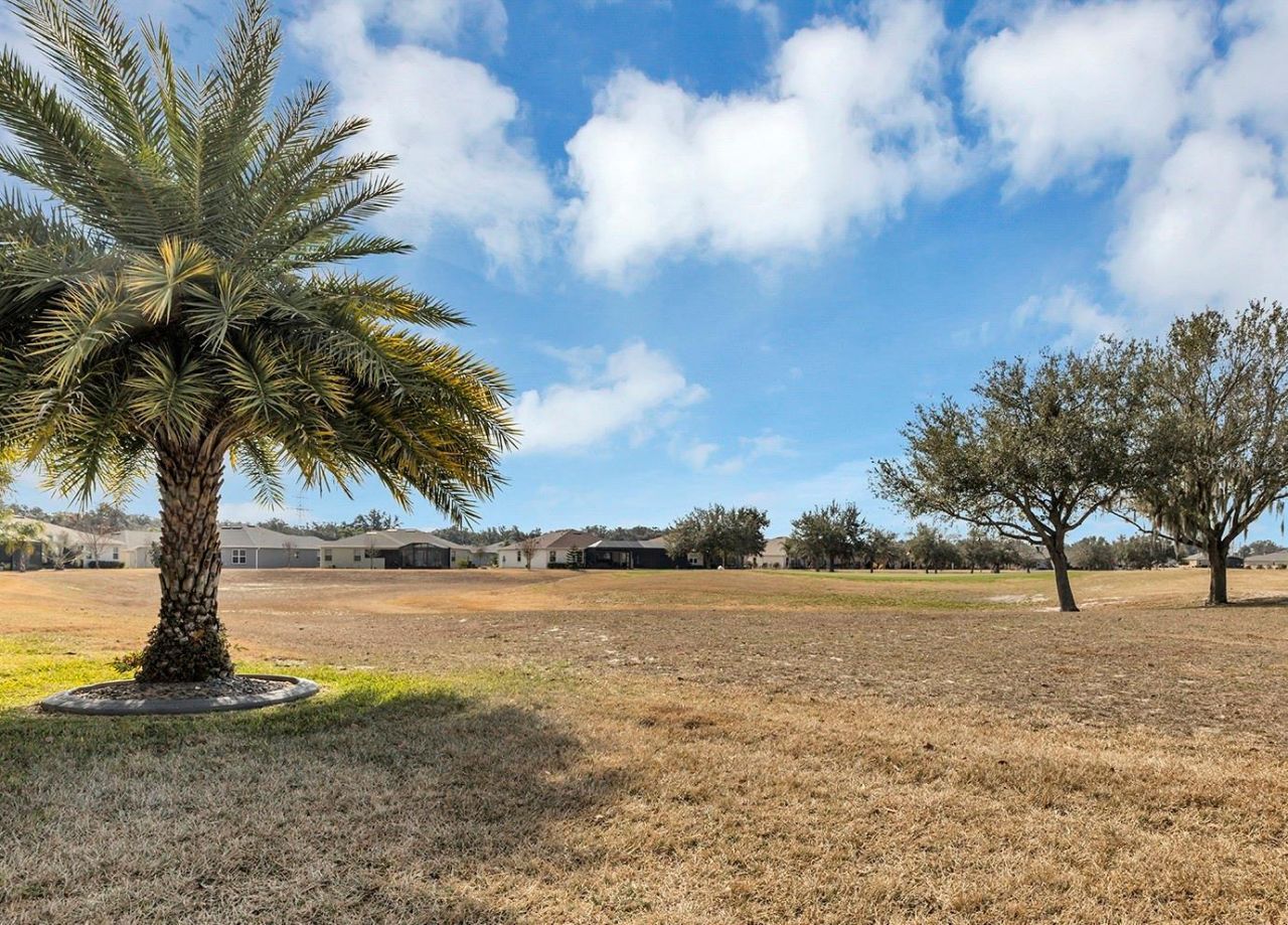 4506 Shenandoah River Trail, Leesburg, FL 34748 Photo