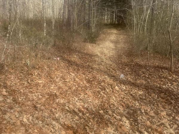 1 Snyder Loop, Graysville, TN 37338