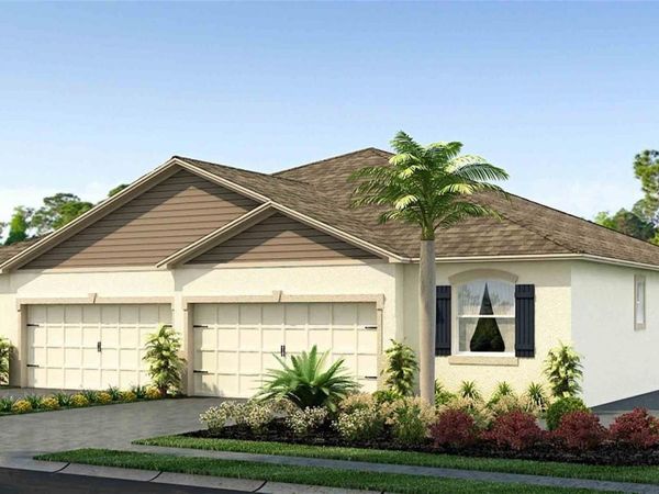 31343 PAPER BIRCH STREET, WESLEY CHAPEL, FL 33545