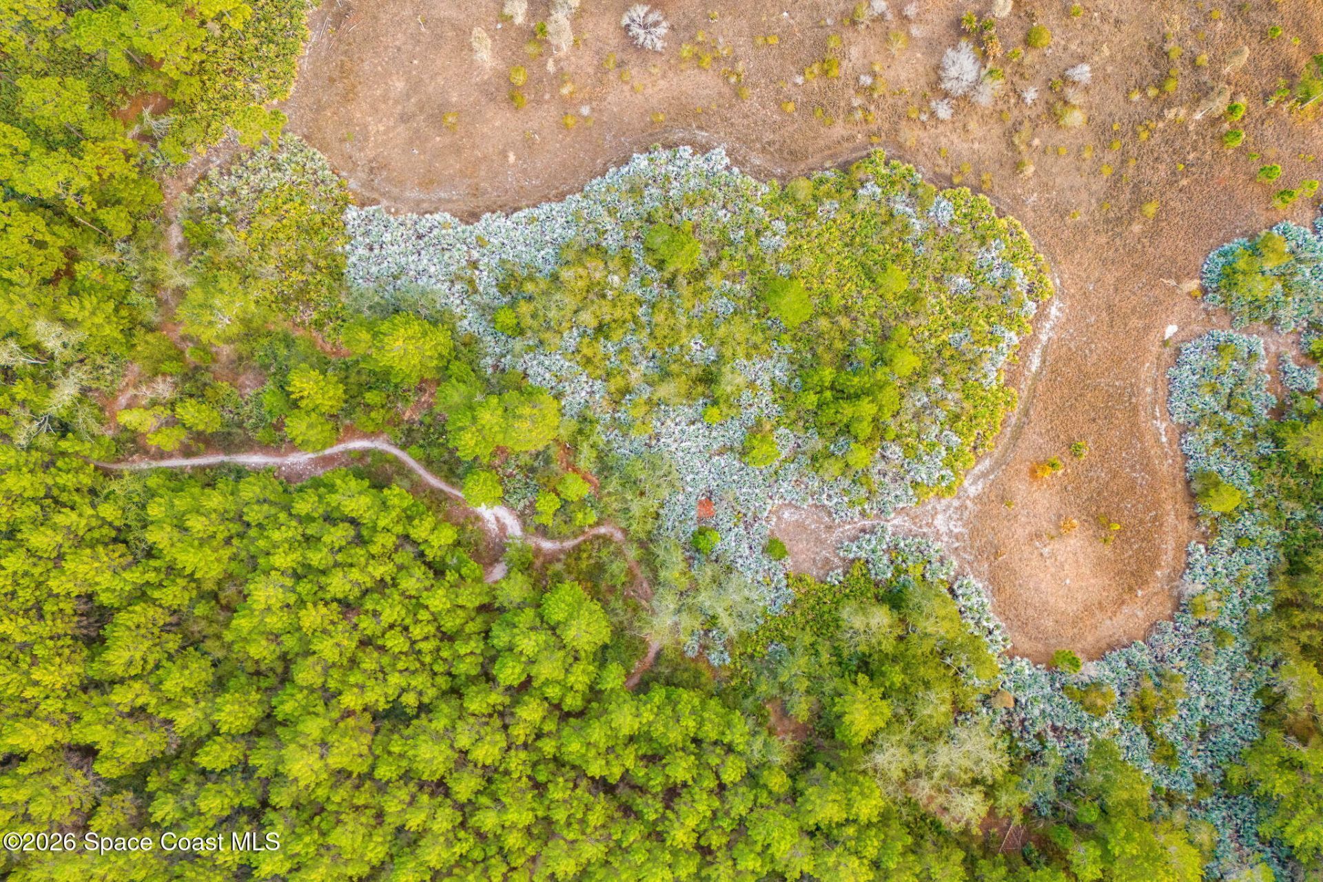 1305 Pemberton Trail, Malabar, FL 32950 Photo