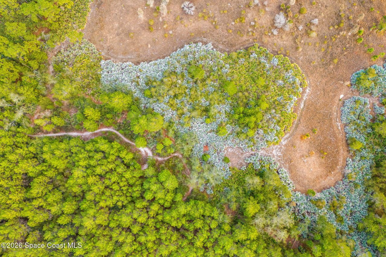 1305 Pemberton Trail, Malabar, FL 32950 Photo