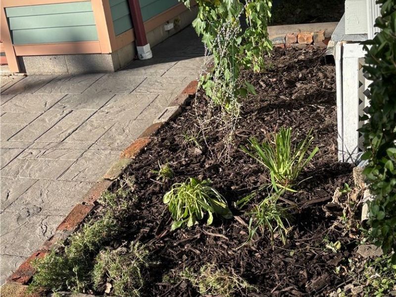 1026 Auburn Avenue, Cleveland, OH 44113 Photo 4