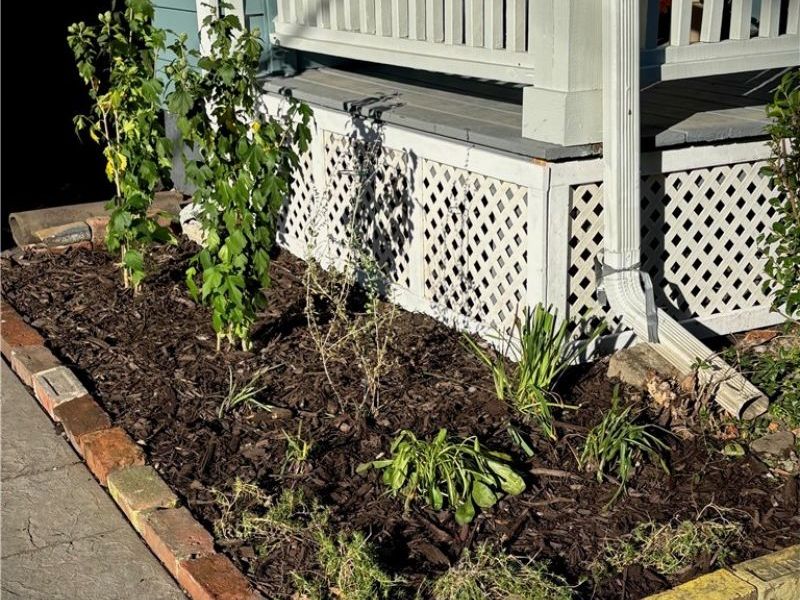 1026 Auburn Avenue, Cleveland, OH 44113 Photo 5