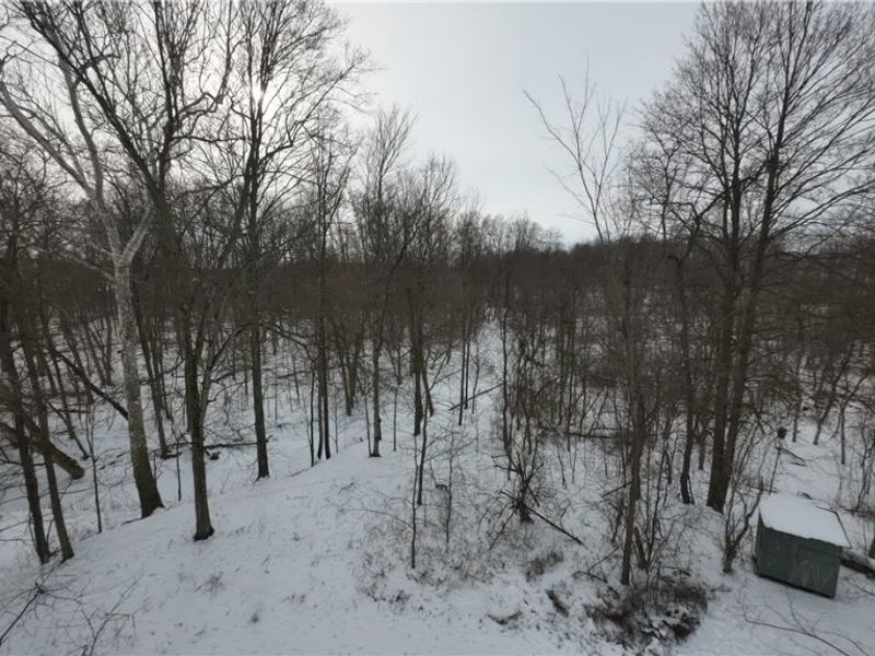 937 Chenango Road, Wakeman, OH 44889 Photo 11