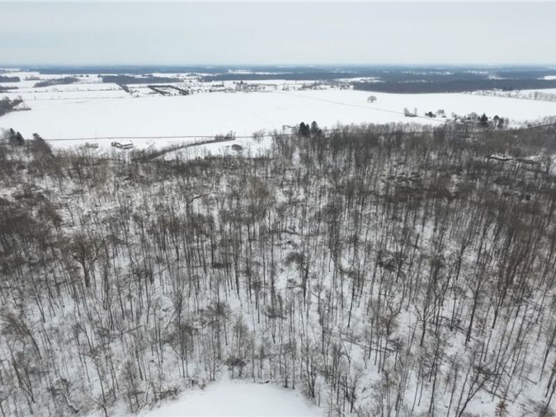 937 Chenango Road, Wakeman, OH 44889 Photo 2