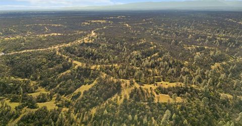 16850 Basler Rd, Cottonwood, CA 96002 Photo