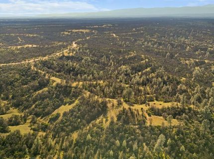 16850 Basler Rd, Cottonwood, CA 96002 Photo