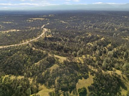 16850 Basler Rd, Cottonwood, CA 96002 Photo