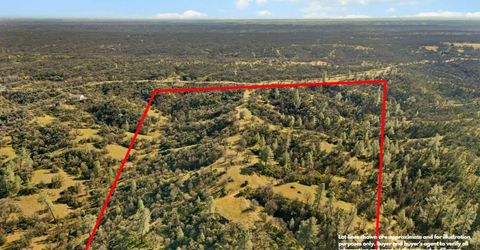 16850 Basler Rd, Cottonwood, CA 96002 Photo