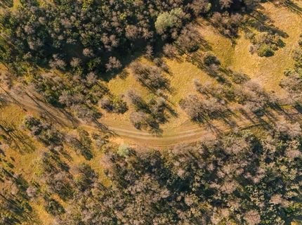 16850 Basler Rd, Cottonwood, CA 96002 Photo