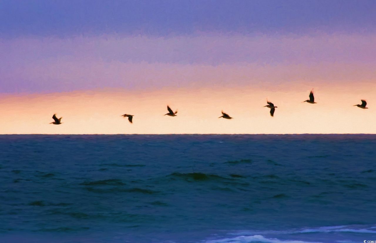 Lot 1-a Brace Dr.  Photo 33