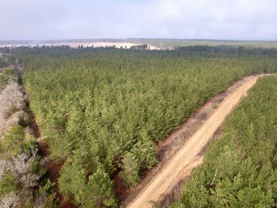 25.93Acres-4567 Dunham Rd, Bethune, SC 29009