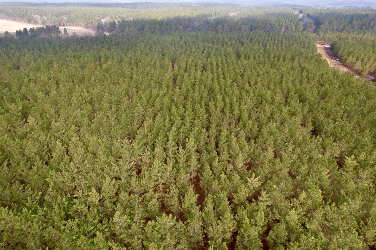 25.93acres-4567 Dunham Rd Photo 10