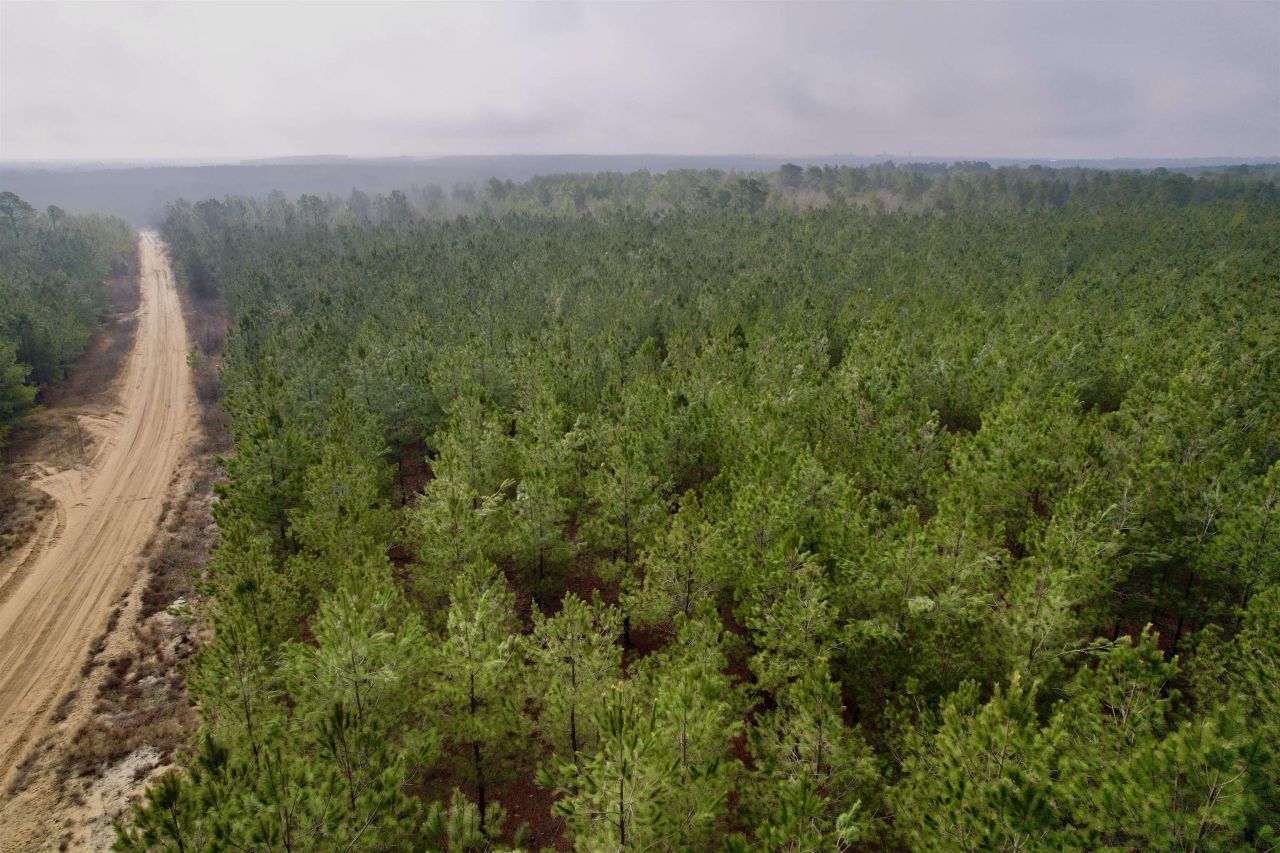 25.93acres-4567 Dunham Rd Photo 11