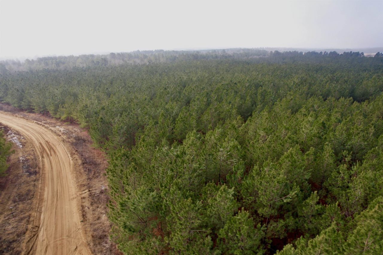 25.93acres-4567 Dunham Rd Photo 12