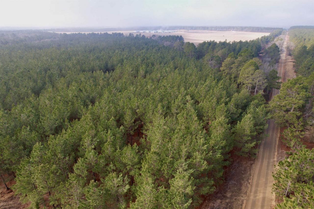 25.93acres-4567 Dunham Rd Photo 13