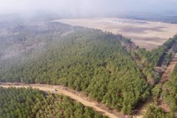 25.93acres-4567 Dunham Rd photo 4