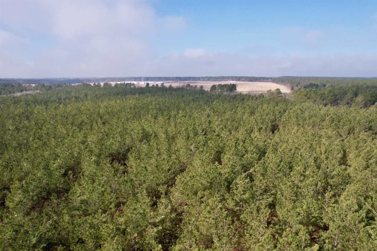 25.93acres-4567 Dunham Rd Photo 4