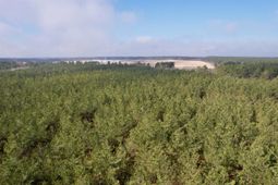 25.93acres-4567 Dunham Rd photo 4