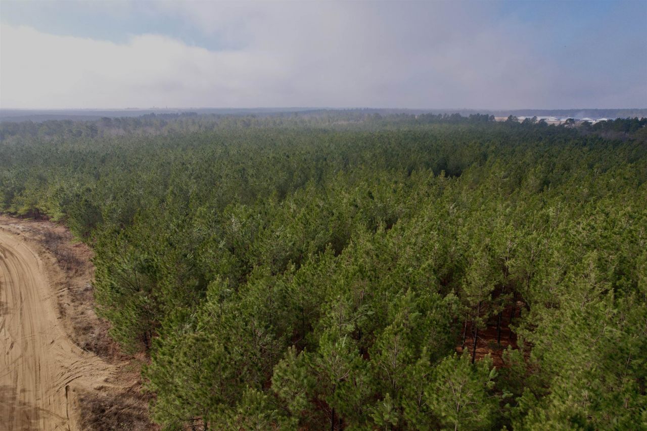 25.93acres-4567 Dunham Rd Photo 7