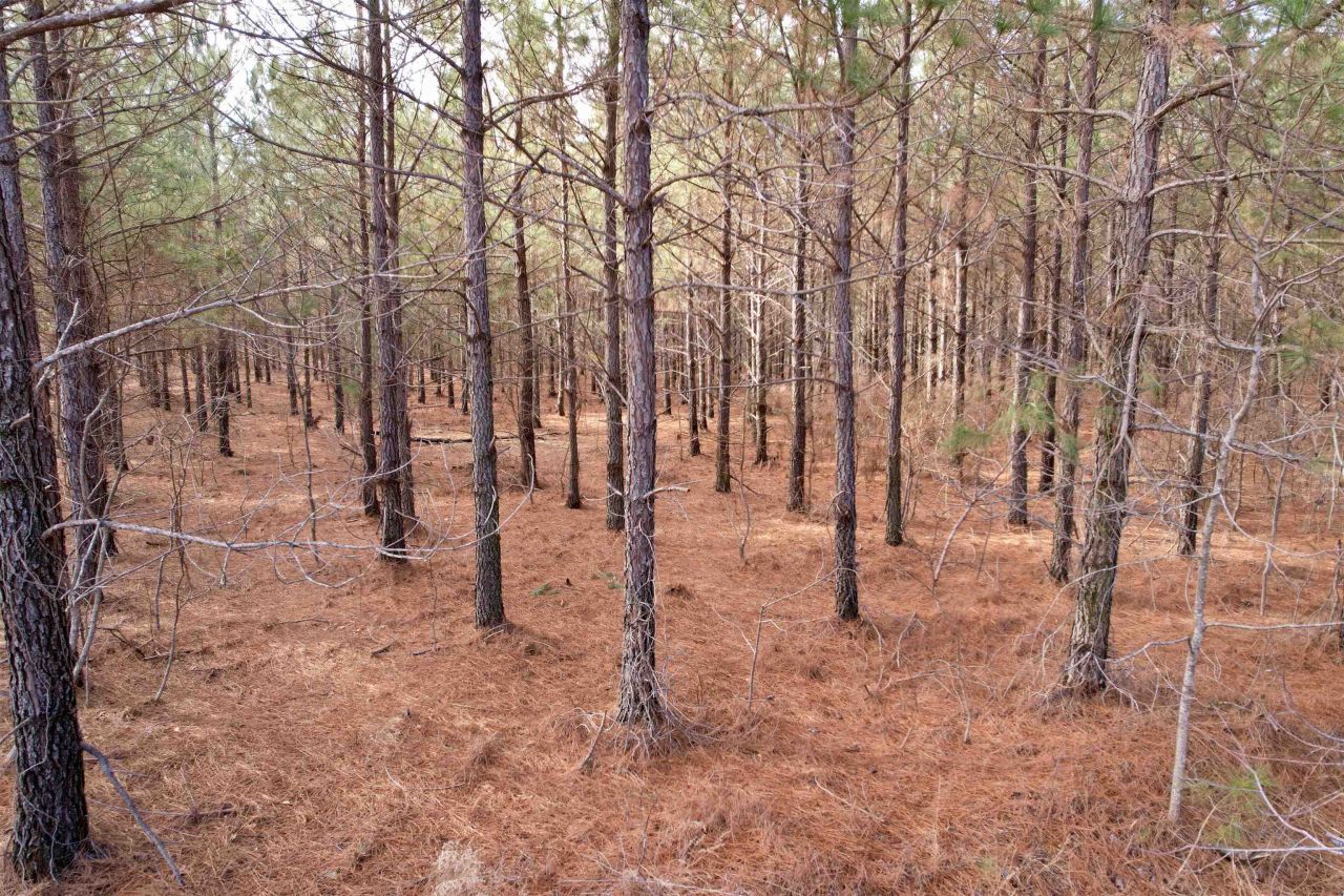 25.93acres-4567 Dunham Rd Photo 8