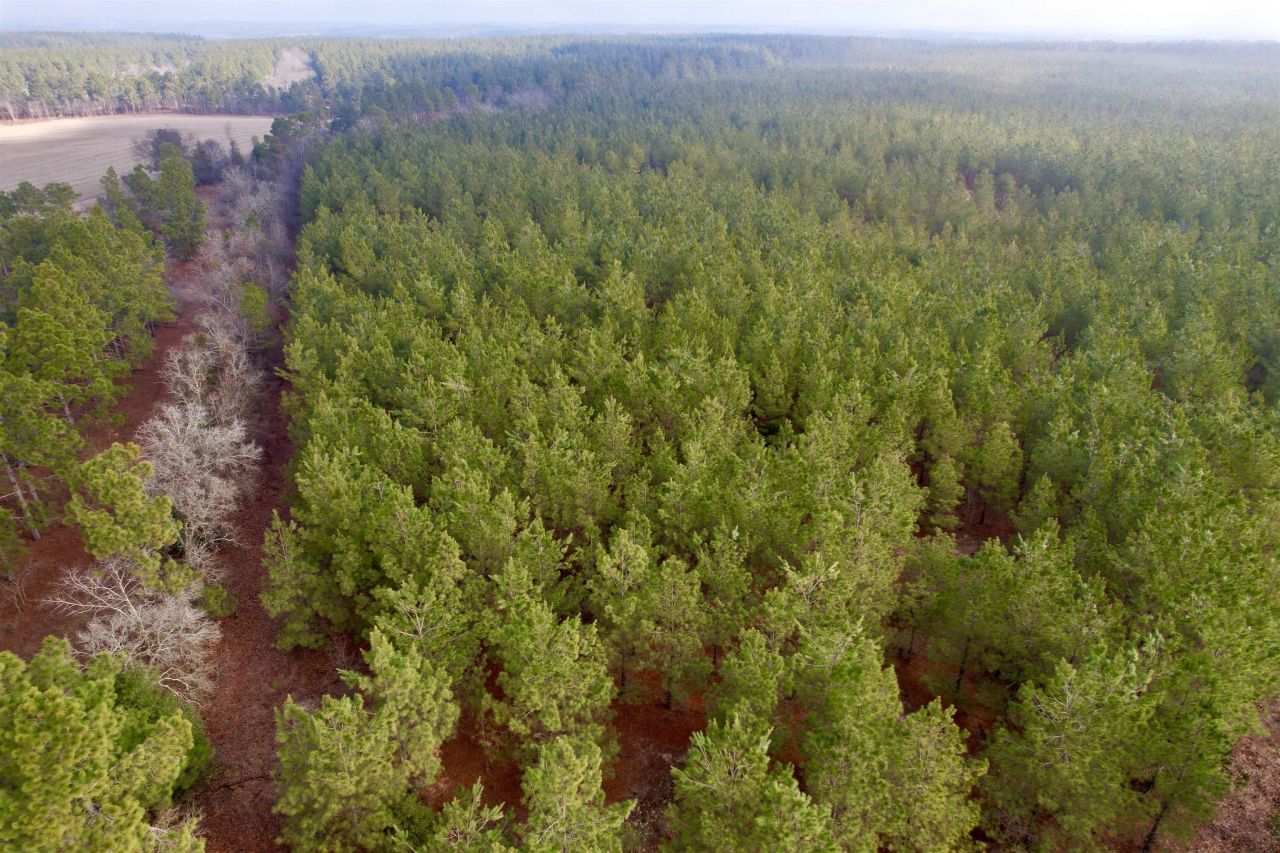 25.93acres-4567 Dunham Rd Photo 9