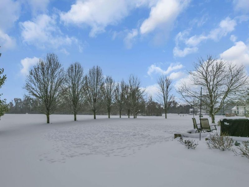 6949 Kellogg Drive, Powell, OH 43065 Photo 71