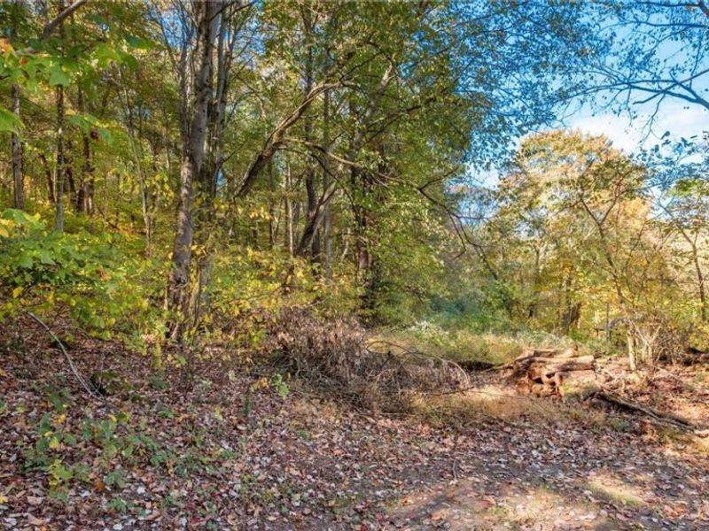 17981 Township Road 347, Coshocton, OH 43812 Photo 32