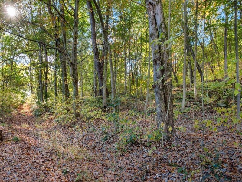 17981 Township Road 347 , Coshocton, OH 43812 Photo 29