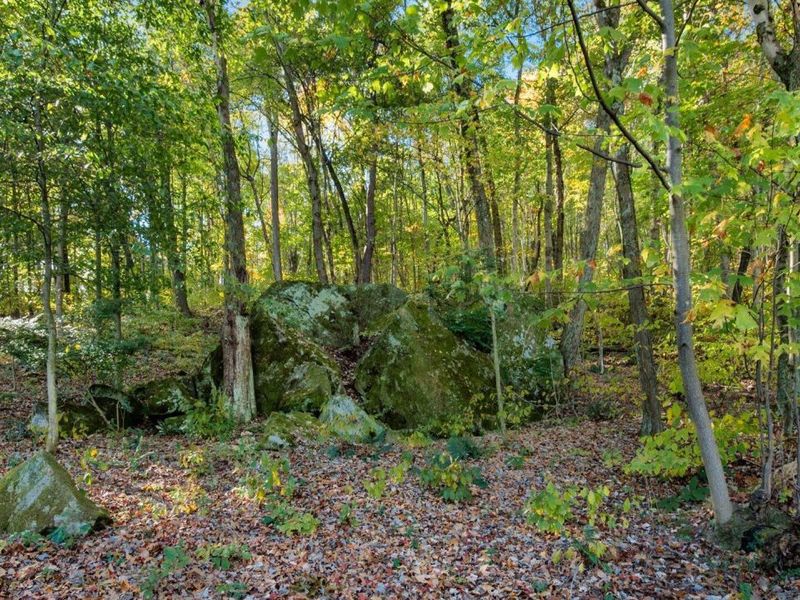 17981 Township Road 347 , Coshocton, OH 43812 Photo 31