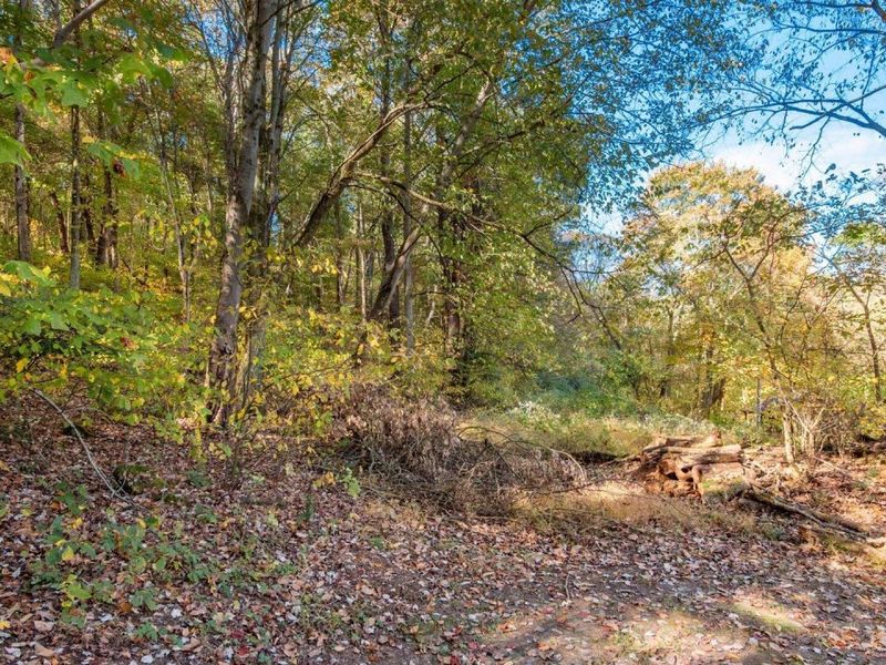 17981 Township Road 347 , Coshocton, OH 43812 Photo 32