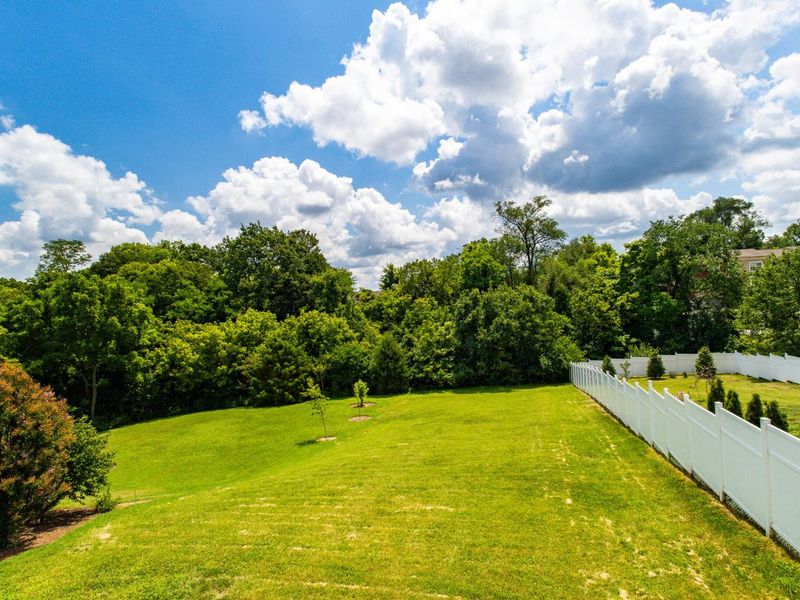 1133 Cecelia Avenue, Park Hills, KY 41011 Photo 3