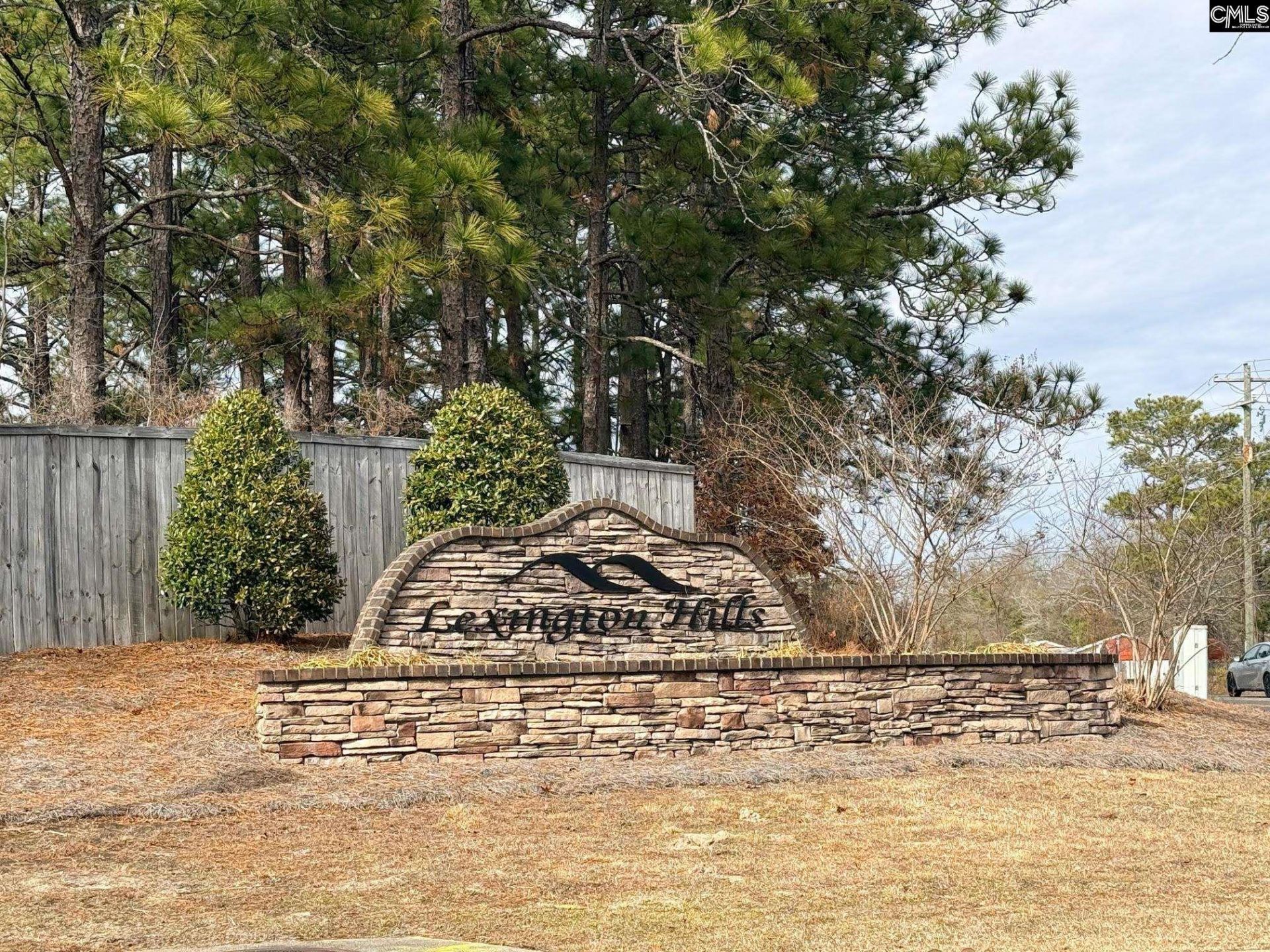 175 Savannah Hills Drive Photo 28