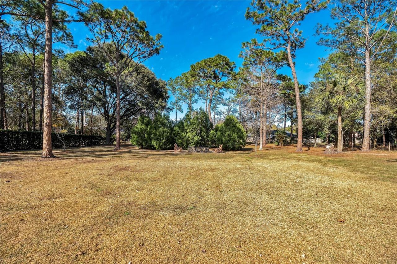 11451 Fangorn Road, Orlando, FL 32825 Photo