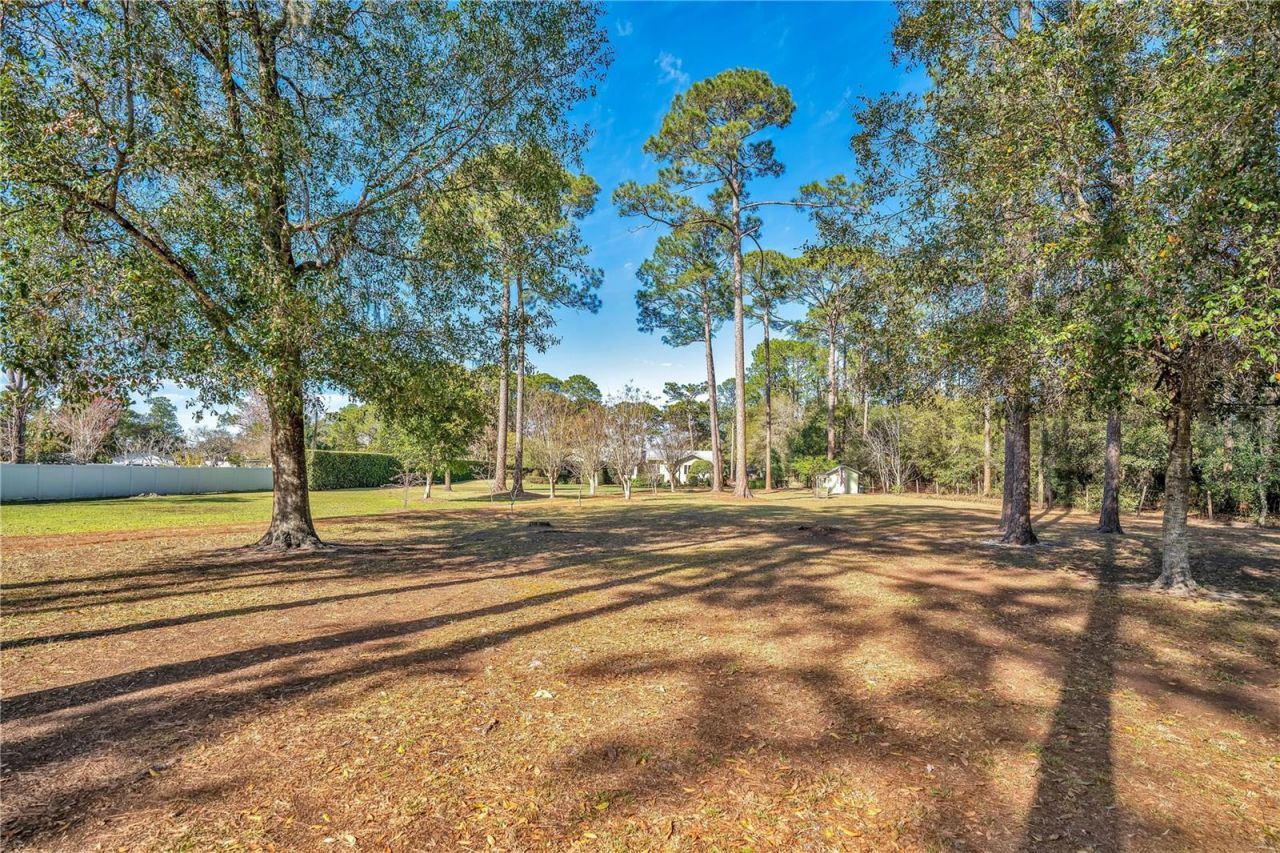 11451 Fangorn Road, Orlando, FL 32825 Photo