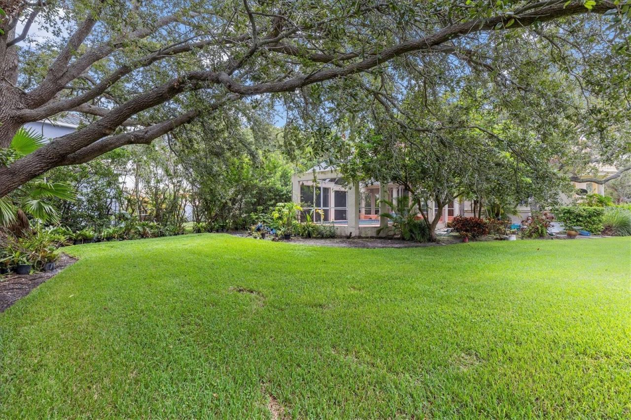 5914 La Rosa Lane, Apollo Beach, FL 33572 Photo