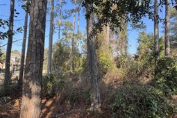 958 Tiffany Ln.  photo 4