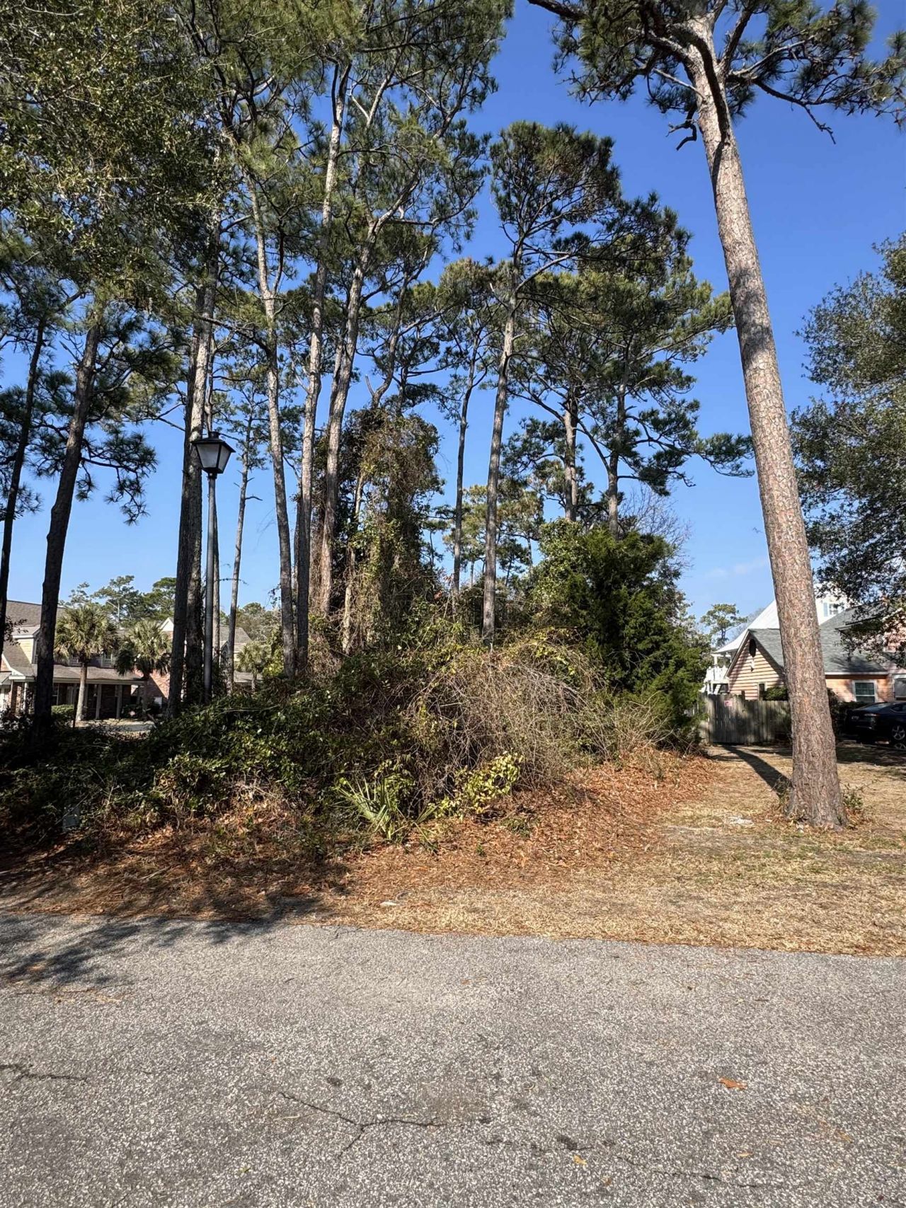 958 Tiffany Ln.  Photo 4