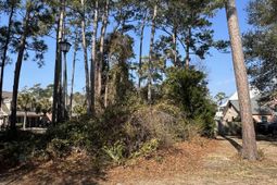 958 Tiffany Ln.  photo 4