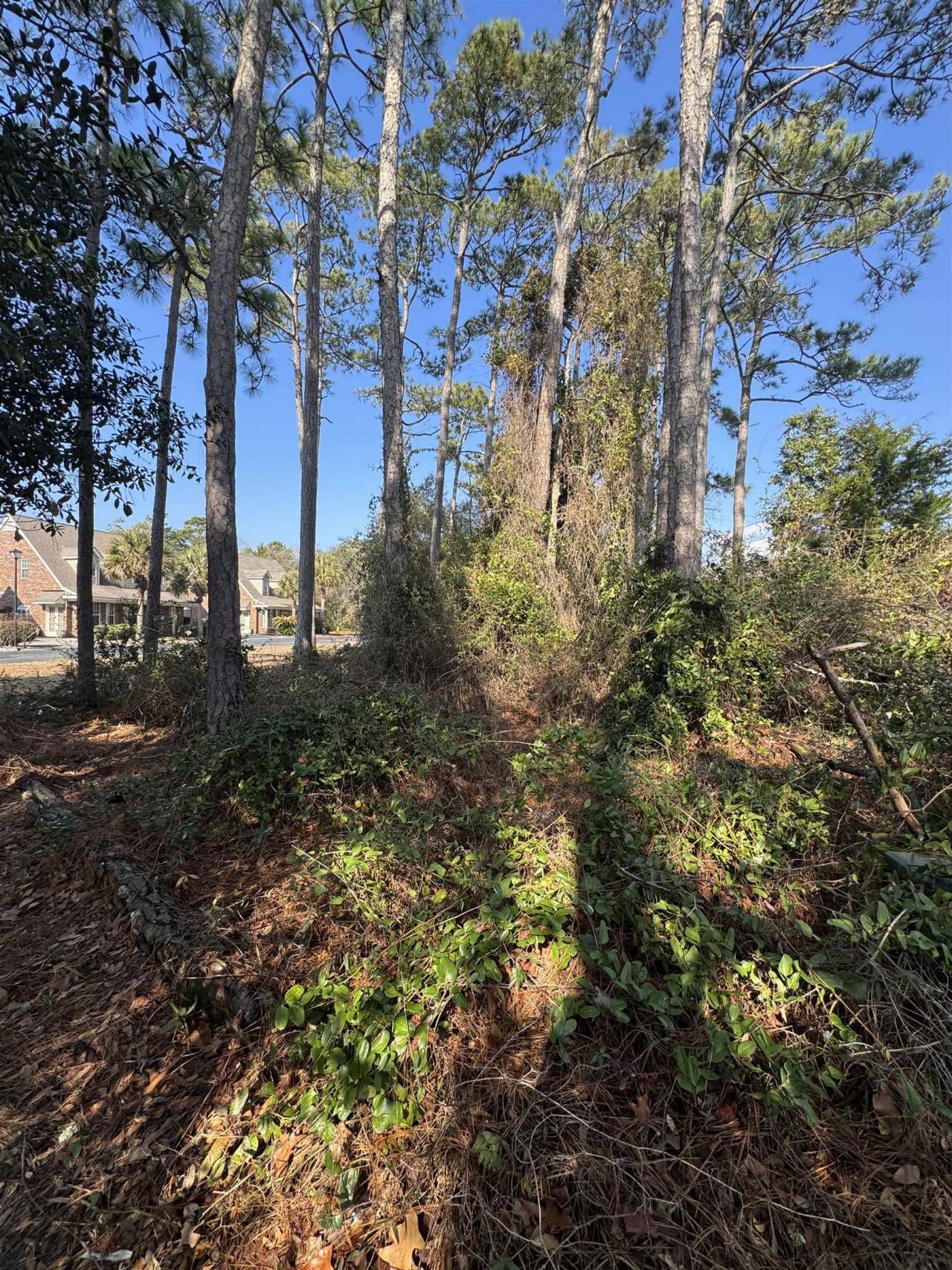 958 Tiffany Ln.  Photo 5