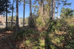 958 Tiffany Ln.  photo 4