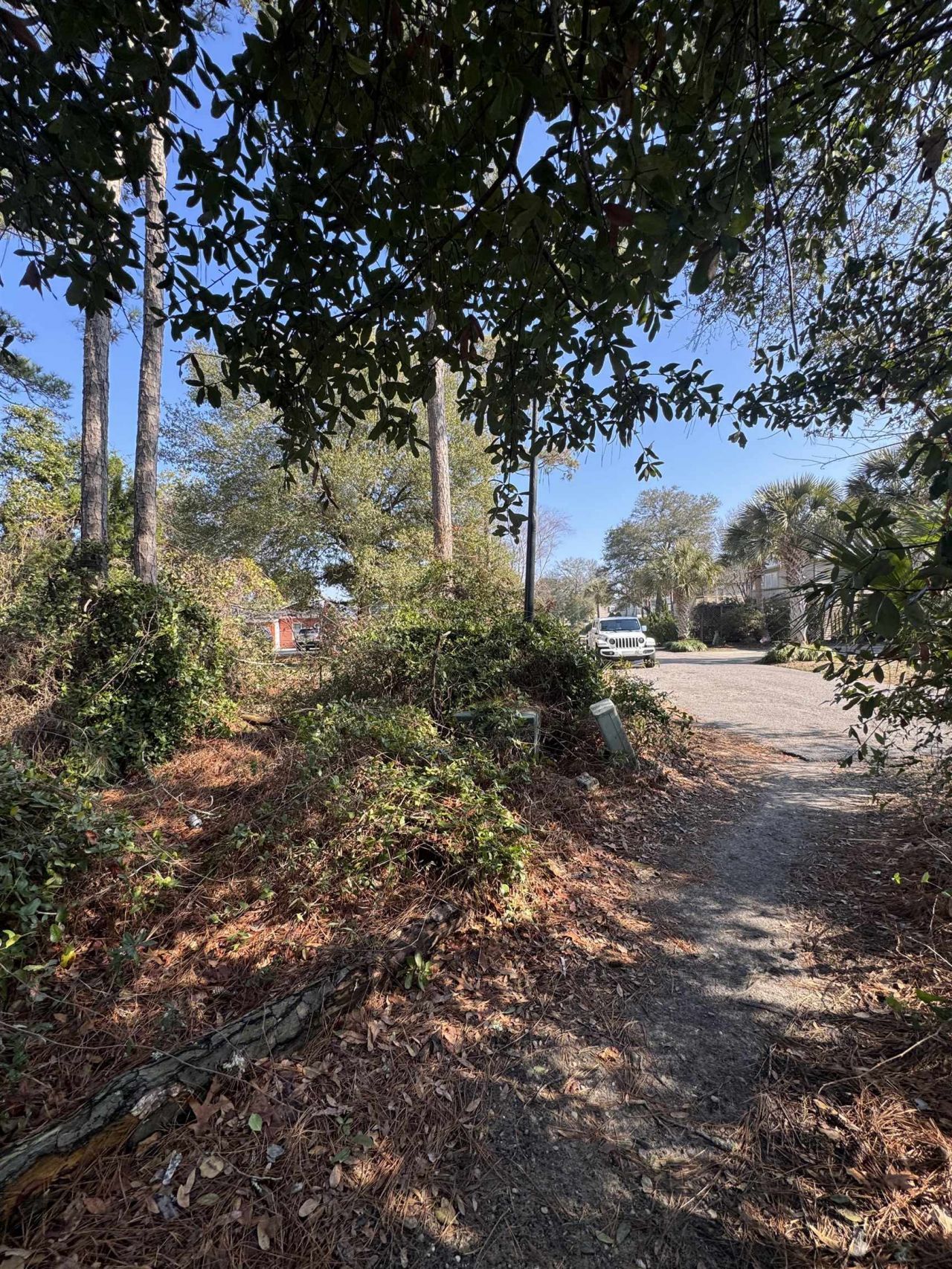 958 Tiffany Ln.  Photo 7