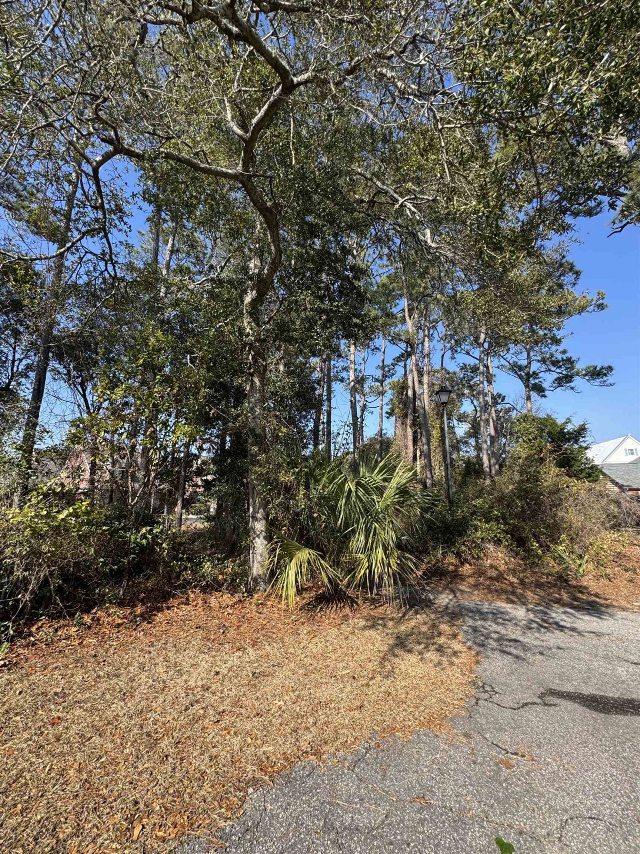 958 Tiffany Ln.  Photo 8