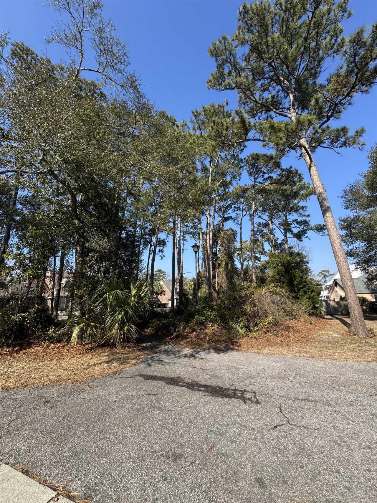 958 Tiffany Ln.  Photo 9