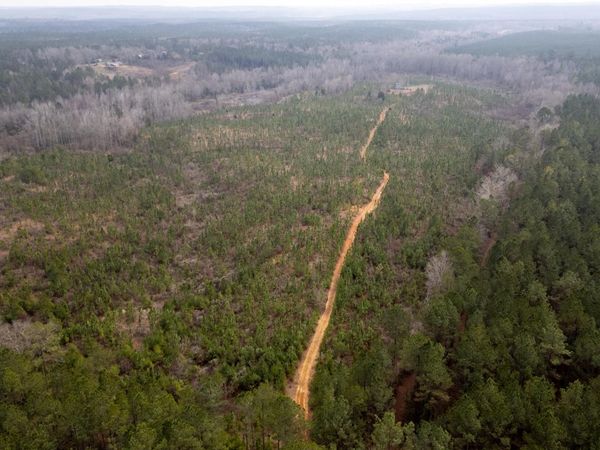 Tamola Rd, Lauderdale, MS 39335