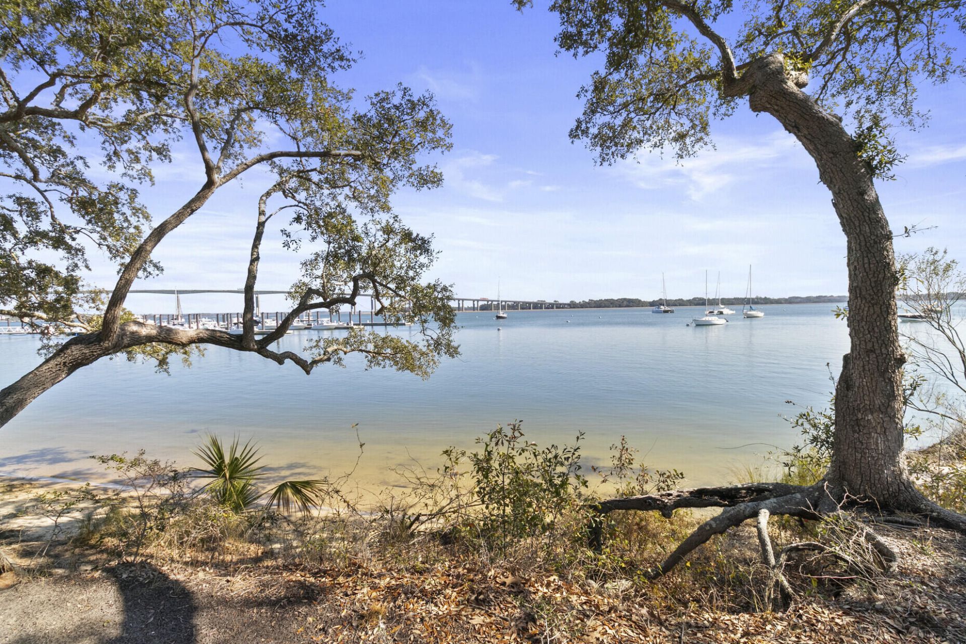 345 Longshore Street Photo 10