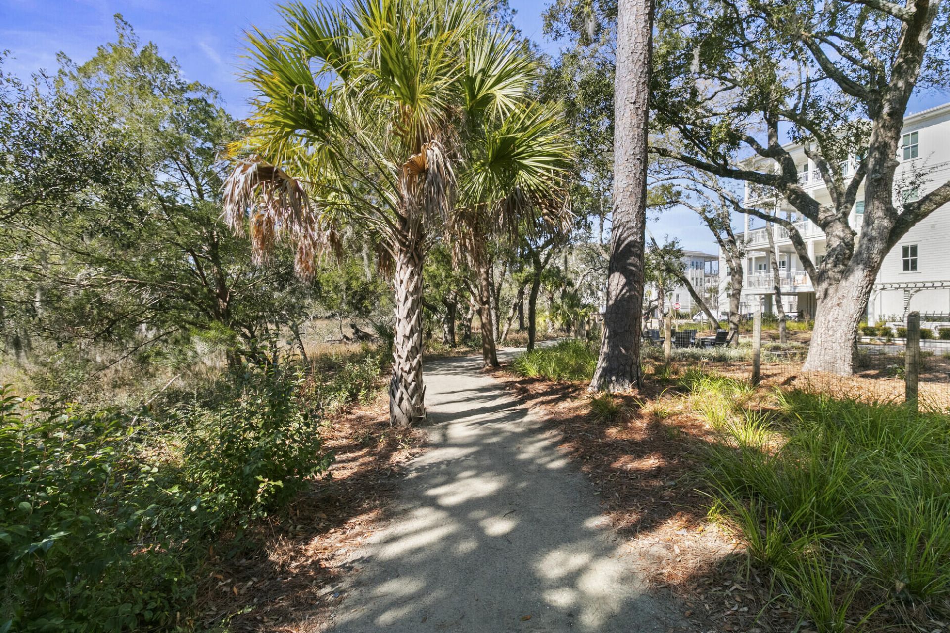 345 Longshore Street Photo 53