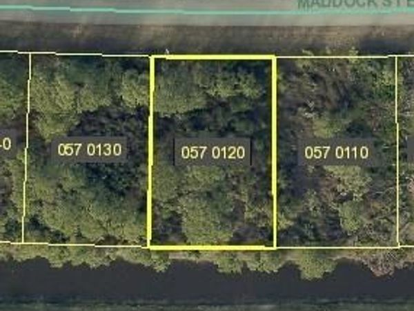 1038 Maddock ST E, LEHIGH ACRES, FL 33974