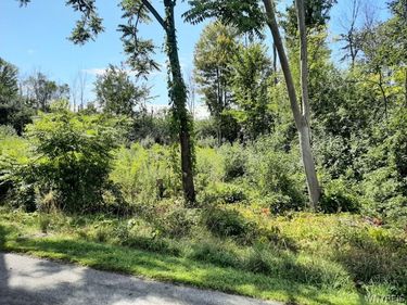 5962 Rosewood Terrace W, Hamburg, NY 14075