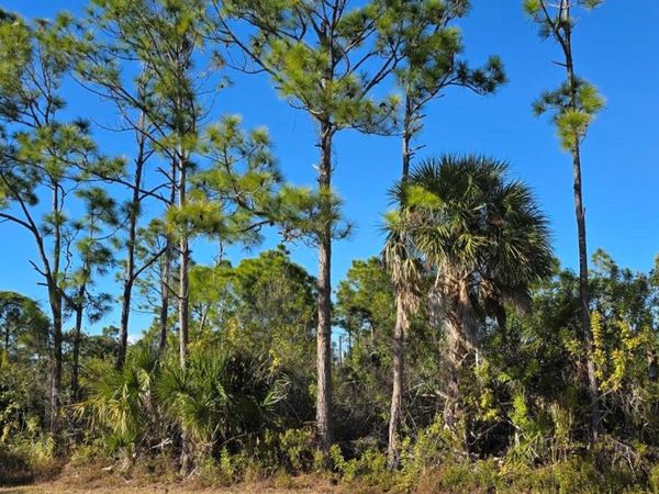 12054 KELLER AVENUE, PORT CHARLOTTE, FL 33981